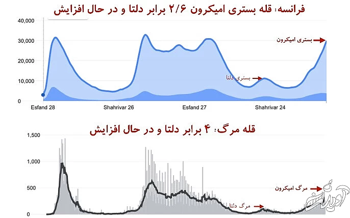 این جدولها را ببینید: مرگ در اثر امیکرون بیشتر از مرگ به خاطر دلتا